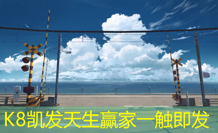 k8凯发官网入口：凉水河塑胶跑道